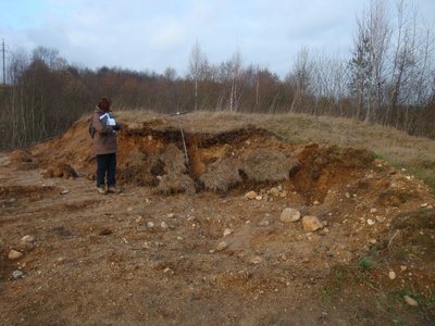 Nukastoji (pietinė) Dvarčionių ozo dalis, esanti už pietinės Dvarčionių geomorfologinio draustinio ribos (V. Mikulėno nuotr., 2011-12-15)