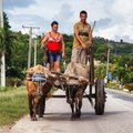 Kubos skurdas lietuviams badė akis: kubiečiai net cigarų neįperka