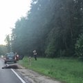 Vilniaus pakraštyje į automobilį trenkėsi briedis