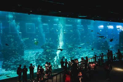 „S.E.A Aquarium“