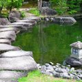 Alytuje bus japoniškas sodas su arbatos nameliu ir tvenkiniu