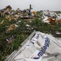Nutekinti duomenys apie MH17 katastrofą Ukrainoje: atsakyta, kas numušė lėktuvą