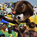 Afrikos Nacijų taurės turnyre - Gabono ir Tuniso rinktinių pergalės