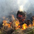 Miškininkai įspėja: šalyje itin didelė gaisrų rizika