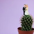 Vyro ir moters gyvenimas nesusituokus: ar tikrai vedybos ką nors keičia?