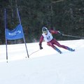Lietuvos kalnų slidinėjimo čempionate Alpėse - svarbi net šimtoji sekundės dalis