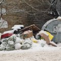 Žinia šilutiškiams: komunalinių atliekų konteinerių prie garažų nebebus