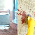2 paprasti būdai, kaip su namuose turimomis priemonėmis iš kilimo pašalinti kraujo dėmę