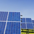 „Elektrum Lietuva“ į didžiausią šalyje saulės parką investuos apie 8 mln. eurų
