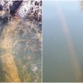Nuramino Šilutės rajono gyventojus: vamzdis upėje atsidūrė ne iš ten, iš kur buvo manyta
