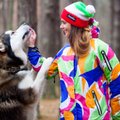 Aliaskos malamuto augintoja: nesirinkite šunų dėl gražių akių ar minkšto kailio