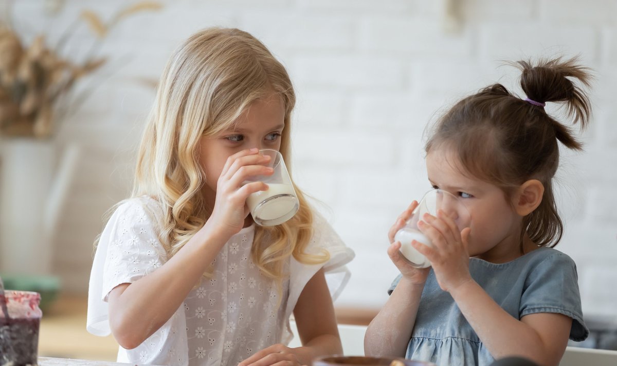 Two little sisters drinking eco milk from glasses at a messy, flour-covered table in kitchen. Happy 5 and 8-year-old siblings having a break and enjoying wholesome cow milk after making tasty cookies