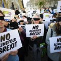 Airija neslepia nusivylimo dėl atidėliojamo „Brexit“ sutarties patvirtinimo