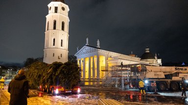 Didžiųjų Lietuvos miestų aikštėse – Kalėdų eglės nuo tūkstančio iki 160 tūkst. eurų