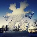 Pakruojo dvare – antrasis ledo skulptūrų festivalis „Šimtmečio pasakos“
