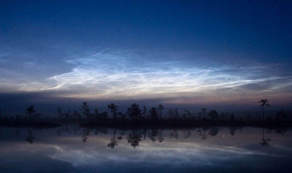 Sidabriškieji debesys / Martin Koitmäe (CC) nuotr.