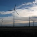 Vėl kalbama apie vėjo jėgaines Plungės rajone