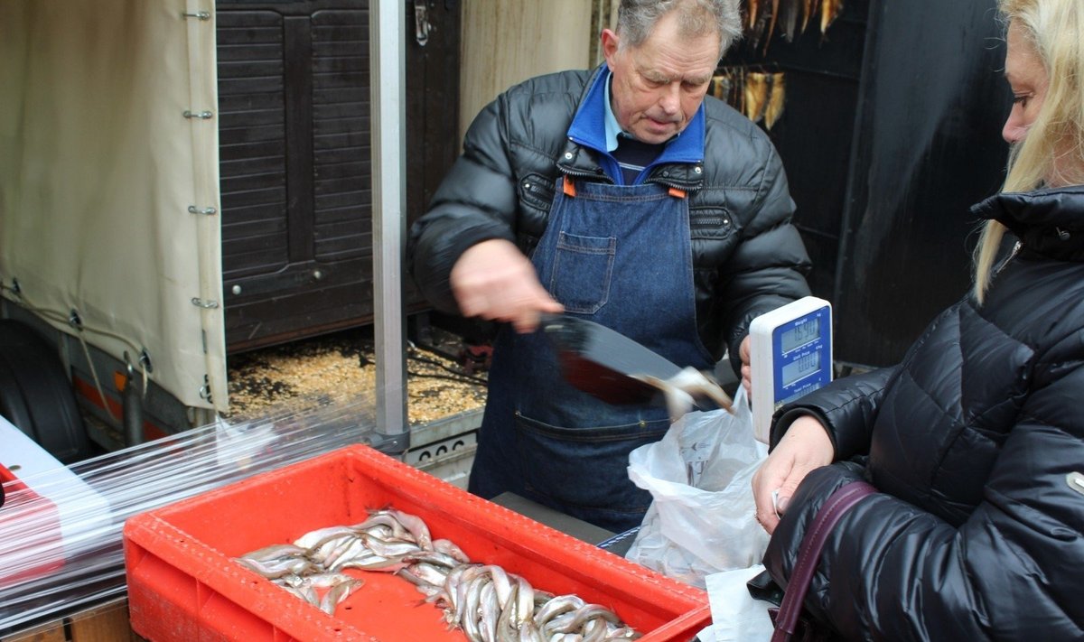 Šventė „Palangos stinta 2019“ 