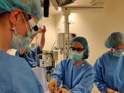 Santaros klinikų darbuotojai operacijos Jelena Volochovič operacijos metu operacijos komanda