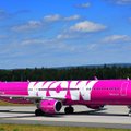 Pigių skrydžių bendrovė „Wow Air“ atšaukė visus skrydžius