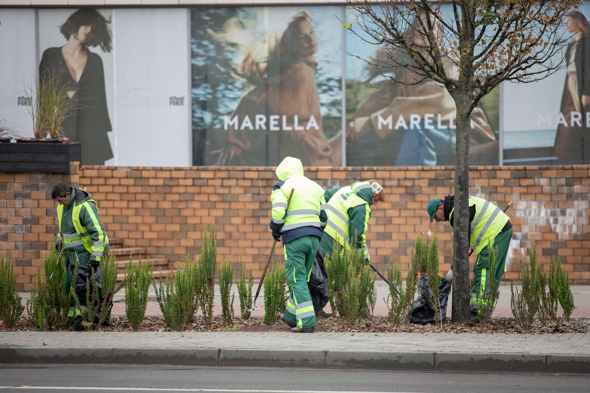 Number of foreign workers up by 56,000 in a year Delfi EN