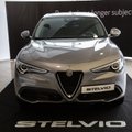 „Alfa Romeo Stelvio“ pelnė aukščiausią saugumo įvertinimą