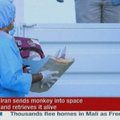 Iranas į kosmosą iškėlė beždžionę
