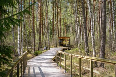 Pašilių stumbrynas