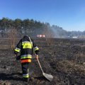 Per plauką: žolės gaisras Jonavos rajone vos nepersimetė į kapines