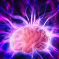 Įrodyta: smegenys gali regeneruoti