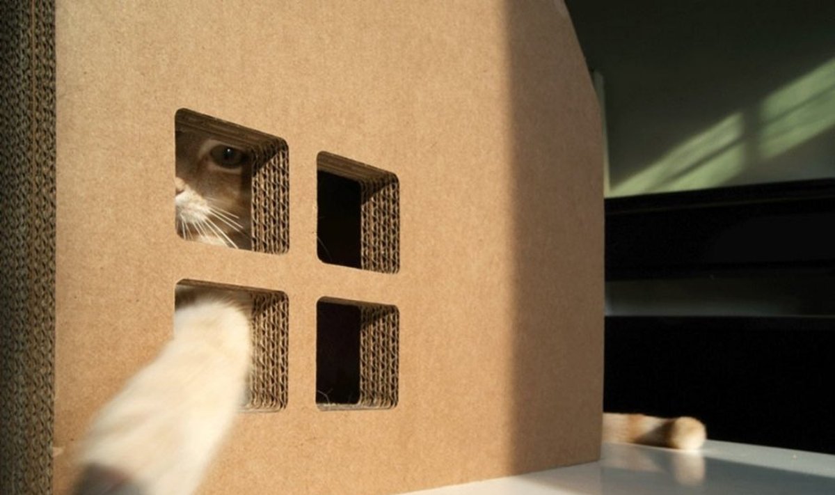„Krabhuis“ -  draskyklė-namelis katėms