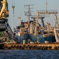 Adomėnas: tarp naujų ES sankcijų turėtų būti įtrauktas draudimas rusiškiems laivams įplaukti į uostus