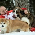 Путин повалялся в снегу со своими собаками