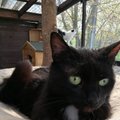 Micelina – katytė, negailestingai išmesta į laiptinę