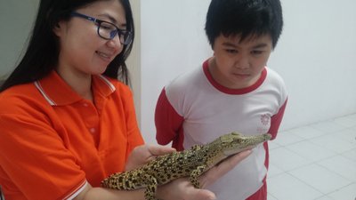 Vaikai iš arti gali pamatyti ir krokodilo jauniklį