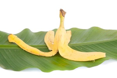 Bananų žievė
