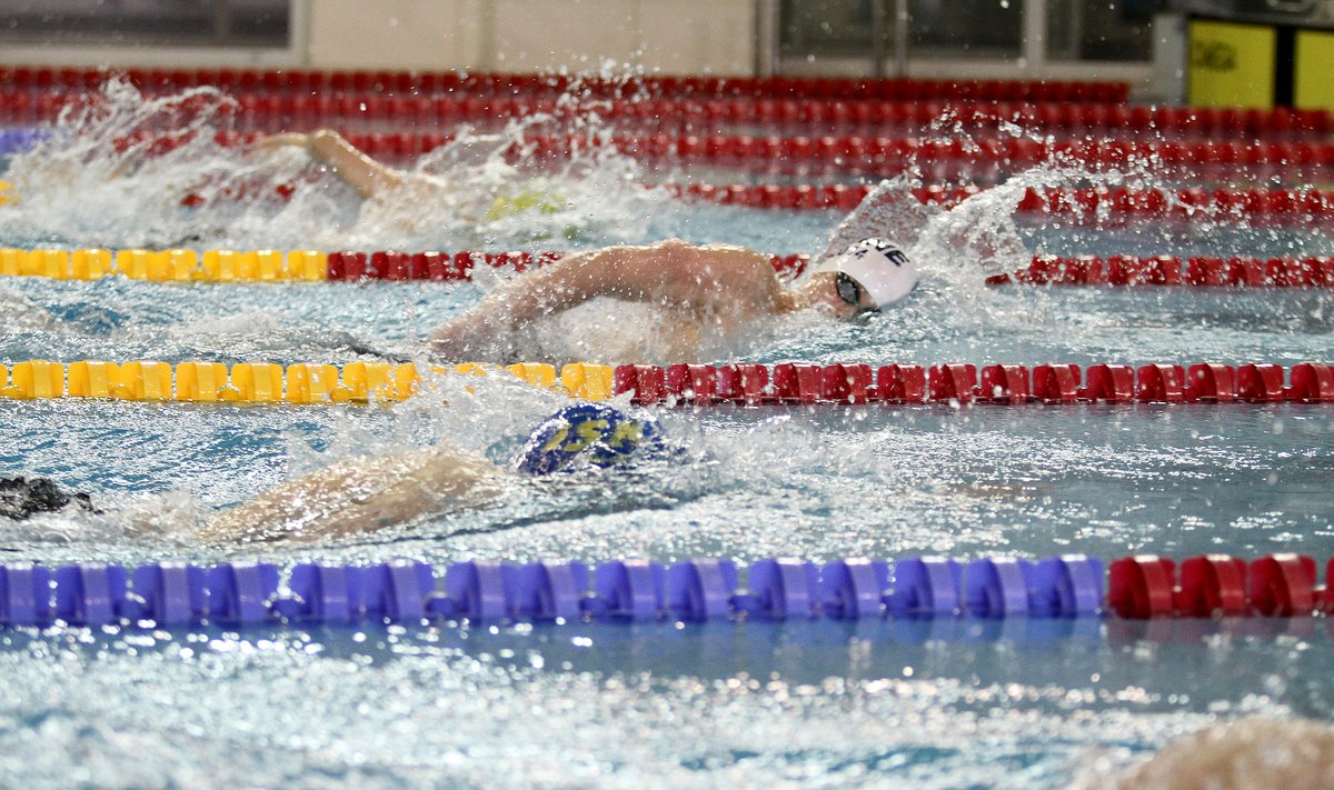 Baltijos šalių plaukimo čempionatas