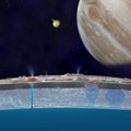 Paslaptingas Jupiterio palydovas turi vandens, bet gyvybė nepatvirtinta