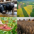 Kokie ūkiai parduodami Lietuvoje ir dėl ko dalis jų staiga atpigo keletą kartų