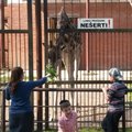 Zoologijos sodo galvos skausmas - vaišingi lankytojai