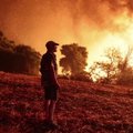 Graikijos kaimelio gyventojai atsisakė evakuotis ir naktį praleido kovodami su ugnimi