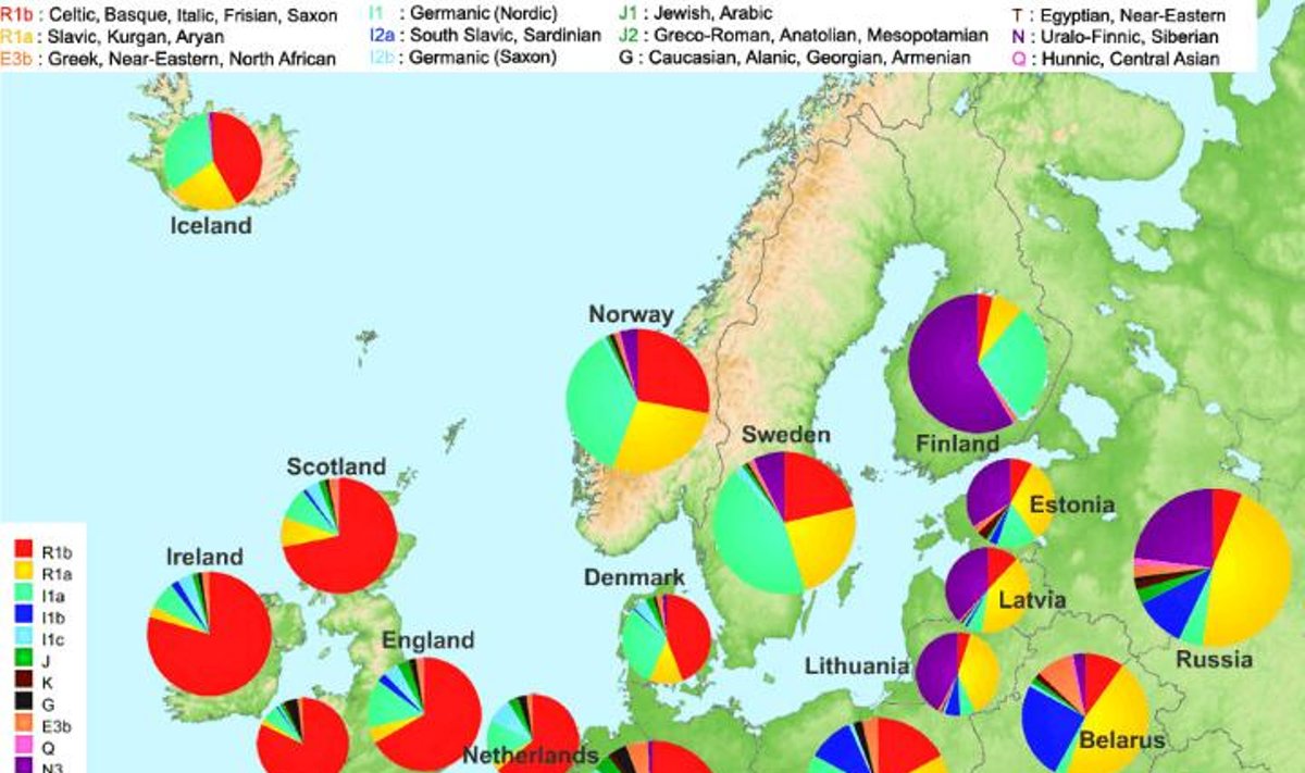 Genetyczna mapa Europy