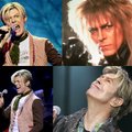 Lietuvos ir užsienio įžymybės gedi legendinio D. Bowie: pasaulis dabar bus kitoks