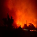 Liudininkai užfiksavo įspūdingus gaisro Korsikoje vaizdus