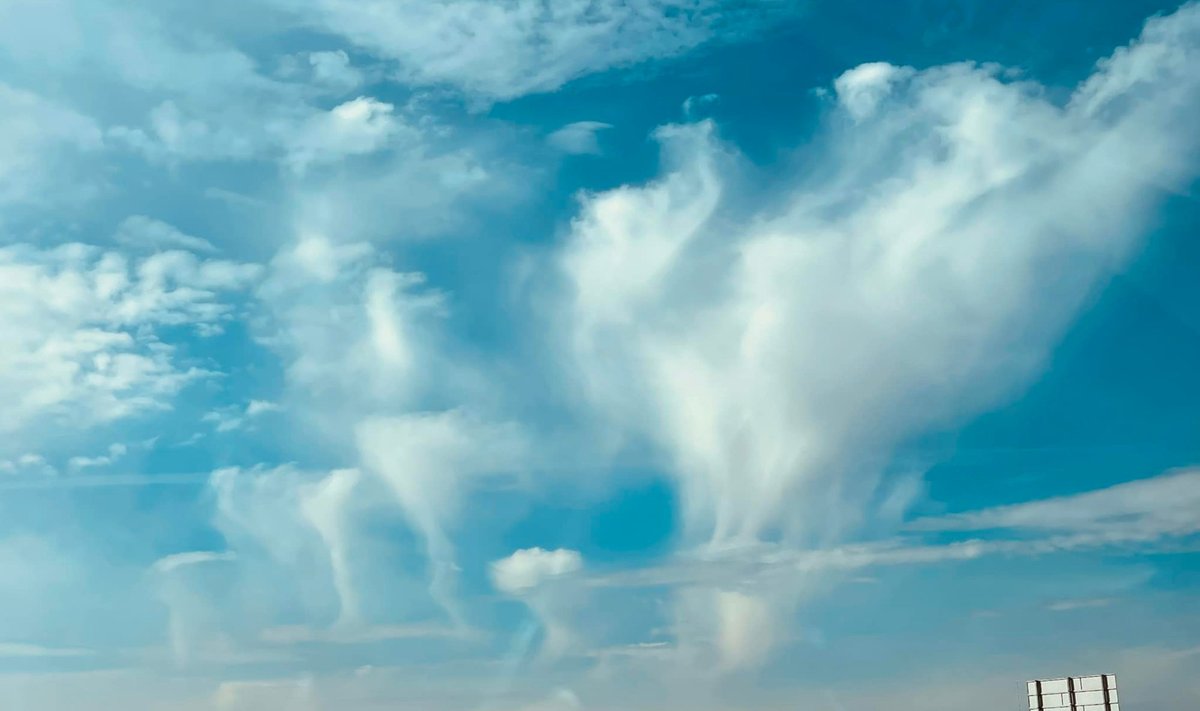 Šluotiškieji debesys (lotyniškas pavadinimas – virga) Jovita Uzdraitė 