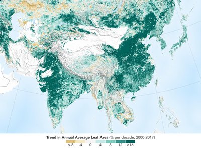 Žemėlapyje plotai, kuriuos dengia didžiausias kiekis augalijos, pažymėti tamsiai žalia spalva (Azija)