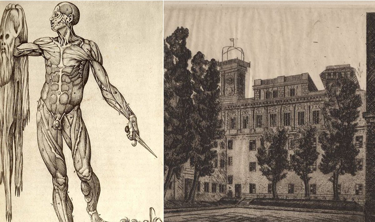 Žmogaus kūno anatomija – Juan Valverde de Amusco, Roma, 1559 m. / Vilniaus universitetas, 1937 m.