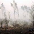 Miškininkai turi vieną prašymą