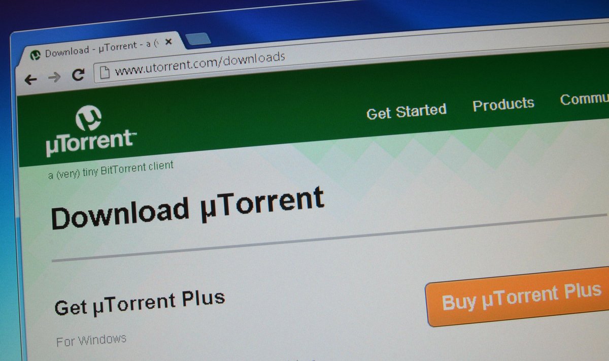 "μTorrent"