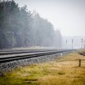 Lithuanian transport minister to propose government to rebuild tracks to Latvia